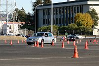IMG_3397