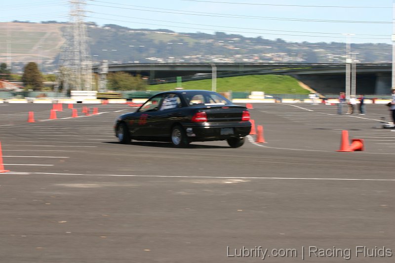 IMG_2251