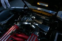 IMG_5810